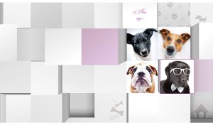 Tile style collage with funny dogs on pastel gray and white color 3D blocks