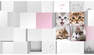 Tile style collage with funny kittens on pastel gray and white color 3D blocks