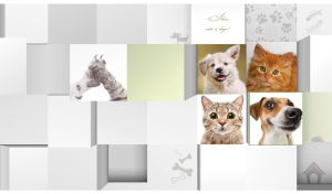 Tile style collage with funny cats and dogs on pastel gray and white 3D blocks
