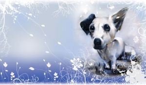 Watercolor painting of black and white dog on a blue gradient in a floral frame