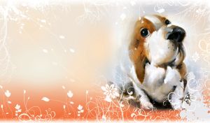 Watercolor painting of white and brown spaniel against an orange gradient