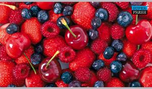 Super fresh berries and cherries close-up view in red and blue shades