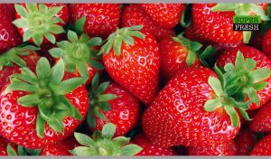 Super fresh and red strawberries close-up view