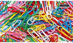 Multicolored paper clips on a white backdrop