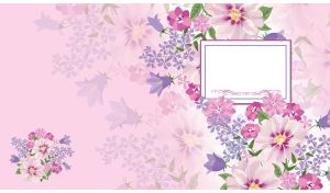 Floral composition of mallows, bluebells cosmos flowers on pastel pink backdrop