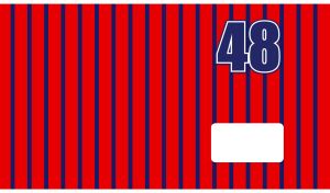 Fourty Eight on seamless vertical stripe pattern in navy and red colors
