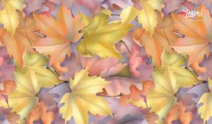 Leaves | Seamless Vector Patterns of Autumn Maple & Chestnut Foliage