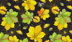Autumn chestnut and horse chestnut leaves vector on a black backdrop