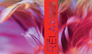 Relax | The Feathered Essence of Vibrant Elegance