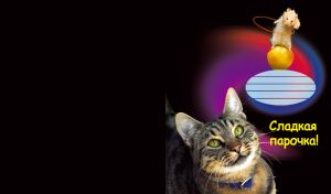 Tabby cat looking up at hamster on a ball in a purple red blue spiral on black