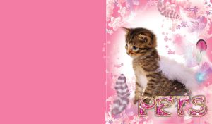 Curious tabby blue eyes kitten in the white and pink feathers