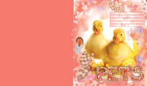Funny pair of yellow ducklings in the white and pink feathers