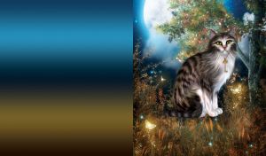Mystical Moonlit Cats