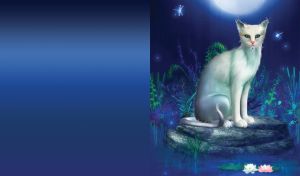 White cat with gemstone sits on boulder in the water in the moonlight on dark blue