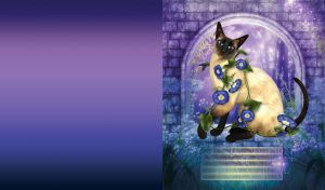 Siamese cat with morning glory flowers at a grotto in the moonlight on violet blue