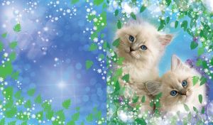 White kittens with blue eyes with leaves, snowflakes and bokeh effect on light blue
