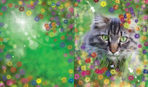 Gray cat closeup decorated with color floral stars pattern and bokeh effect on green