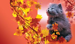 Whimsy Whiskers | Furry Companions in Vibrant Backdrops