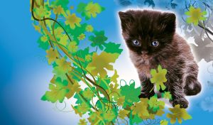 Fluffy brown thoughtful kitten on a light blue background with green and olive leaves