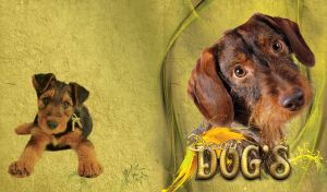 Dog's Dreams | Puppy Portraits | Canine Charm on Textured Backdrops