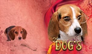 Serious brown white beagle in glasses on a red textured background with brushstroke