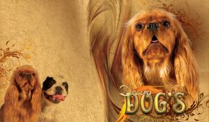 Brown cocker spaniel on an ocher textured background with yellow orange brushstroke