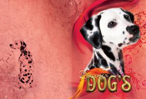 Dreamy black and white dalmatian on a light red textured background and brushstrokes