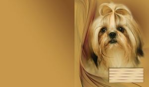 Cute little shih-tzu dog on a tan background