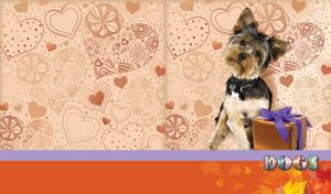 Dogs and Cats | Whimsical Portraits against Gift Wrapping Paper | Pastel