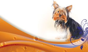 Cute Doggies on White | Dog portraits with wavy overlay decorated with bokeh and corner swirl