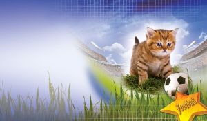 Tabby red kitten plays with a football