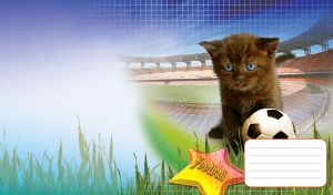 Brown kitten plays with a football