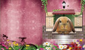 Light-brown rabbit in the window of a country house with light-purple walls