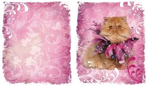 Cats and Swirly Stencils | Fluffy portraits against aged floral stencil backdrop | Pastel