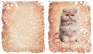 Furry beige cat against a tan background