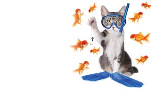 Underwater fisher - kitten in flippers and diving mask sits with a hook surrounded by fishes