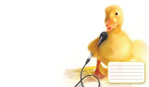 Yellow duckling vocalist singing into the gray microphone in the yellow petals