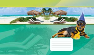 Mini pin with a yellow tie and a blue birthday hat against a lime background