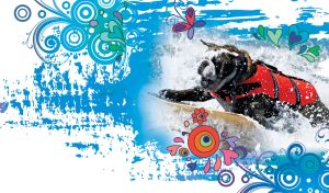 Dog in a red life jacket water-skiing in the abstract blue sea