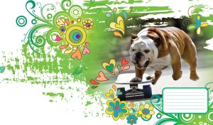 Brown and white bulldog on a skateboard in the abstract green park