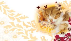 Sweet Slumber | Sleepy Pets Amidst Floral and Butterfly Patterns | on White