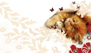 Sleeping red kitten on a white backdrop with floral vector pastel orange pattern