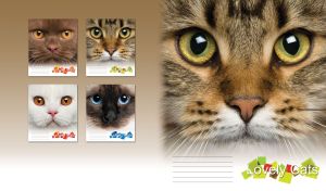 American Shorthair tabby cat face with green eyes and tan fur with brown stripes