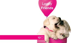 Lovely Friends | Playful Companions on White