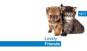 Friendly Pomeranian puppy and lovely Maine Coon kitten against a white background