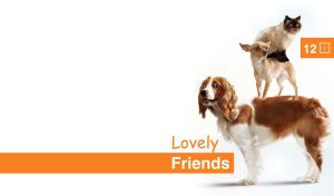 Acrobatic routine with two dogs and a cat on the top against a white background