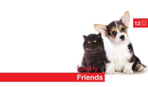Friendly Welsh Corgi puppy and lovely Persian kitten against a white background