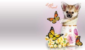 Chihuahua doggy in a vase and yellow roses on a pastel gray background