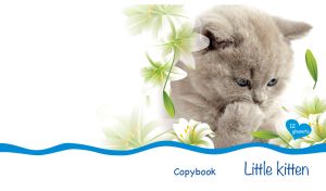 Gray British short haired blue-eyed kitten on a white backdrop