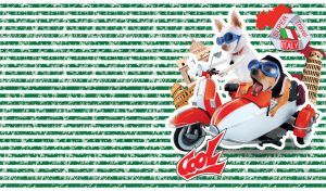 Cool Canine Adventures | Travel Tales of Dogs on Grunge Stripes